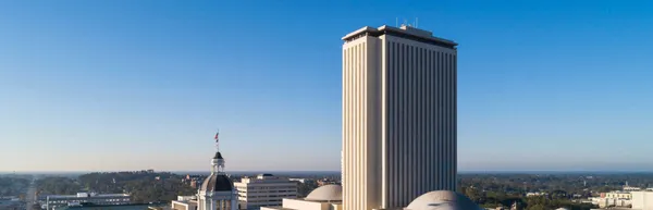 Tallahassee skyline